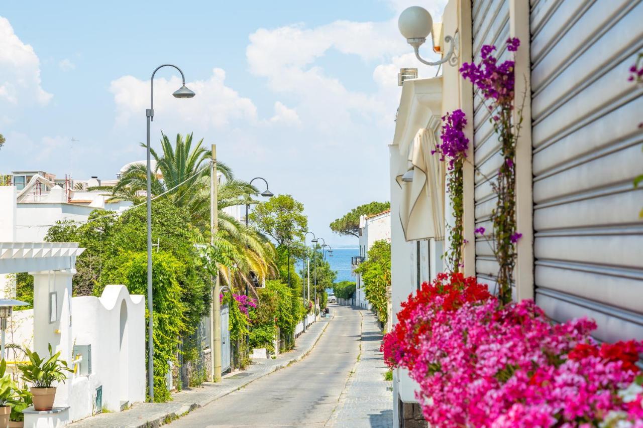 Appartement Blumarina Terrace On Ischia